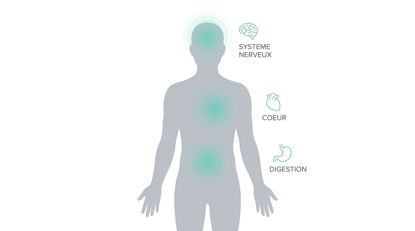 Illustration — What are the possible side effects of an energy pouch?